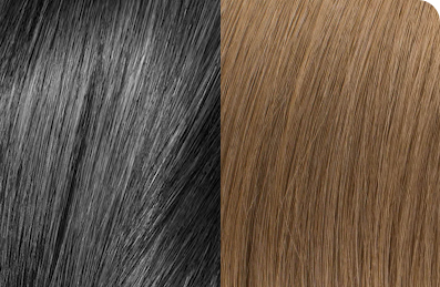 Selection of Color